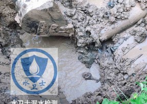 点军区水管漏水检测公司5